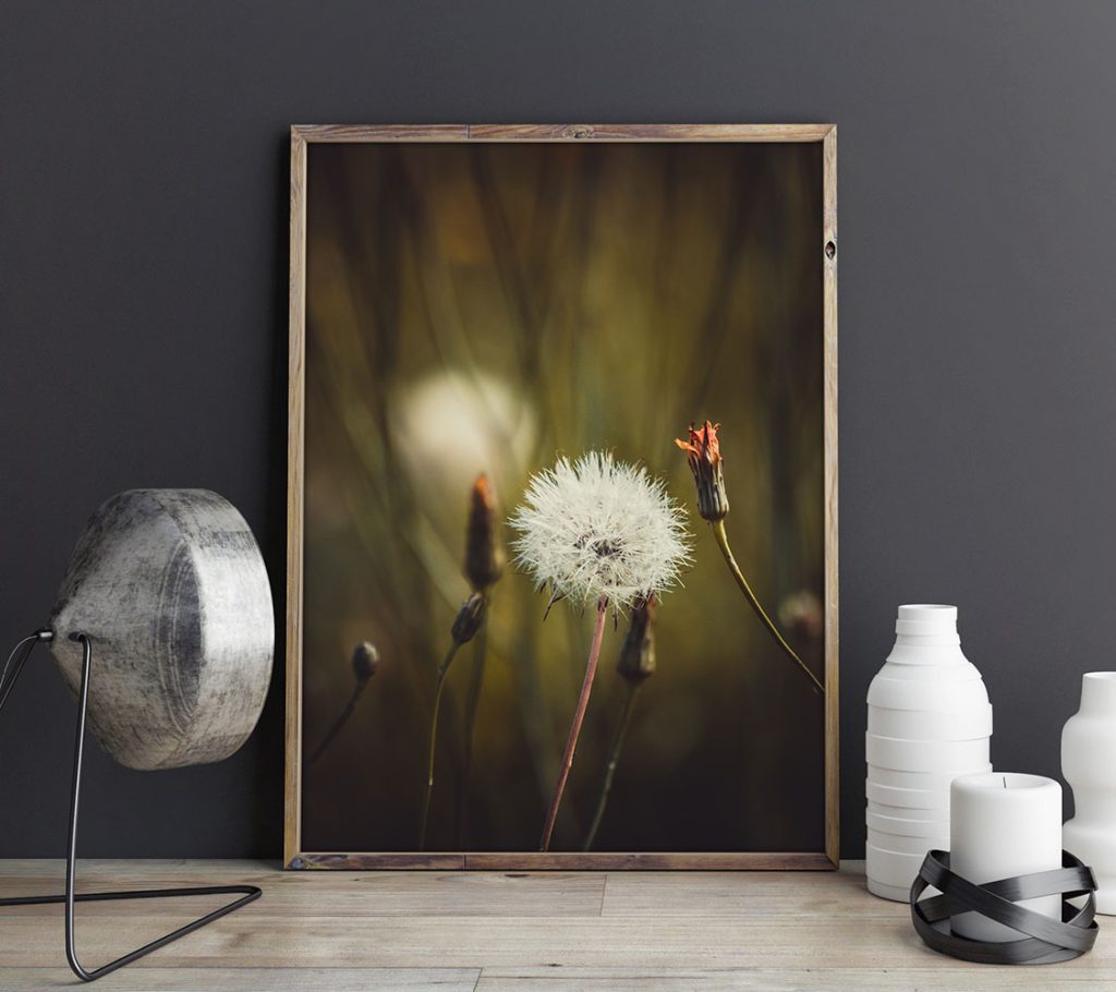 Gallery Image Asset Item