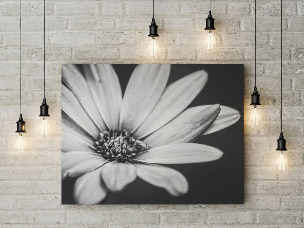 Gallery Image Asset Item