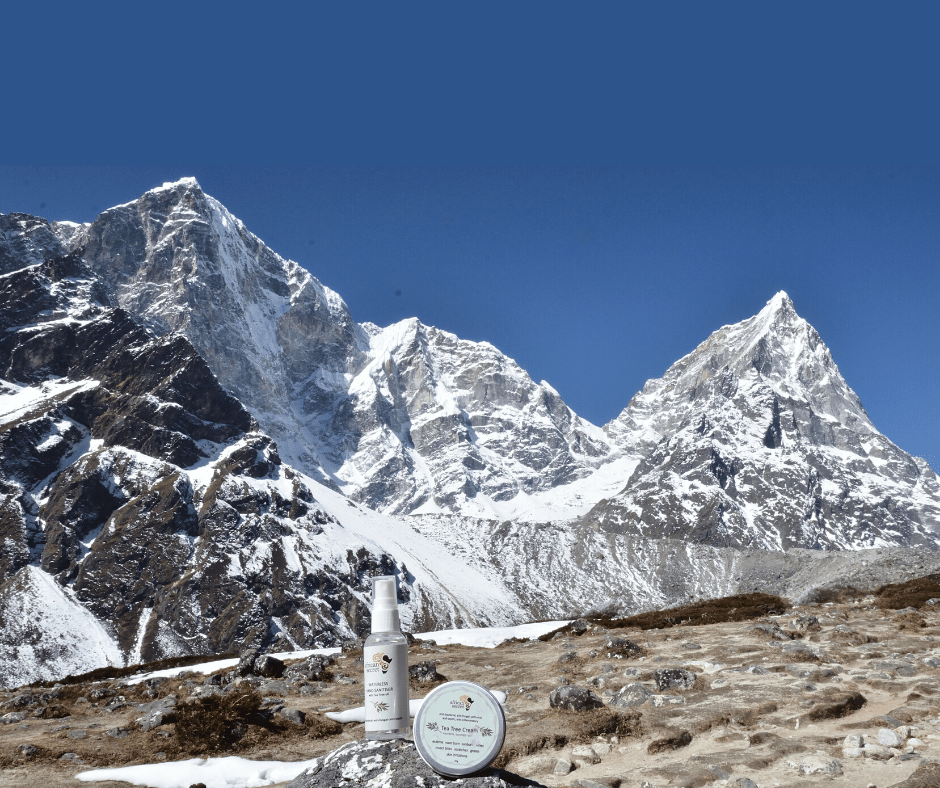 Himalayas 2019
