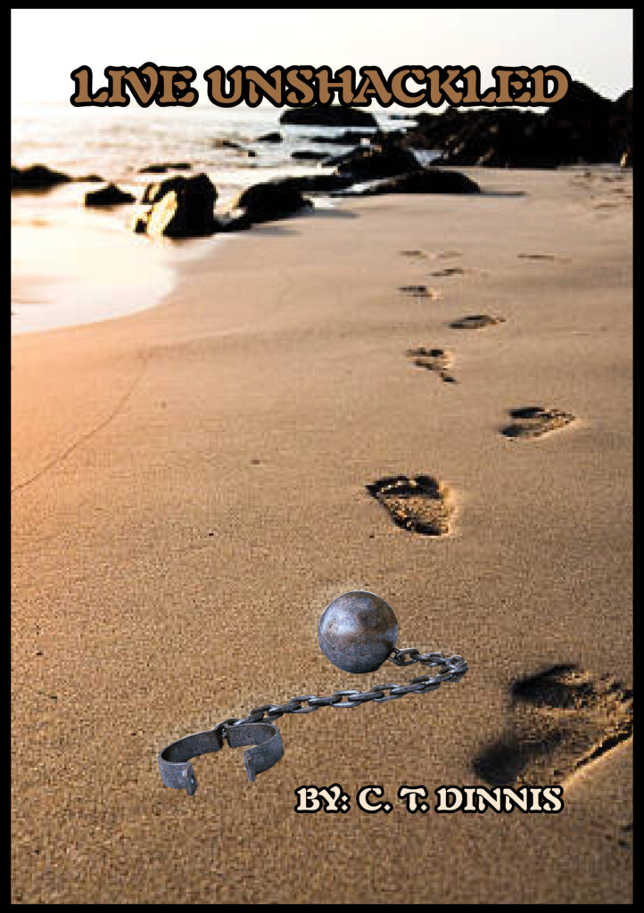 Gallery Image Asset Item