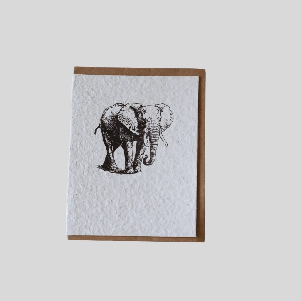 Gallery Image Asset Item