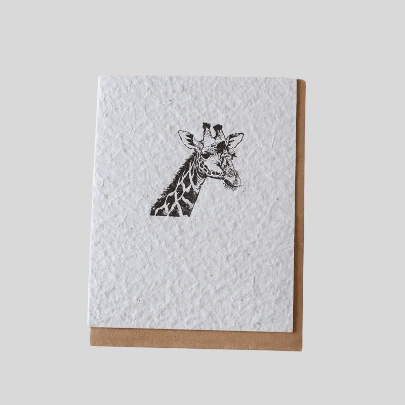 Gallery Image Asset Item