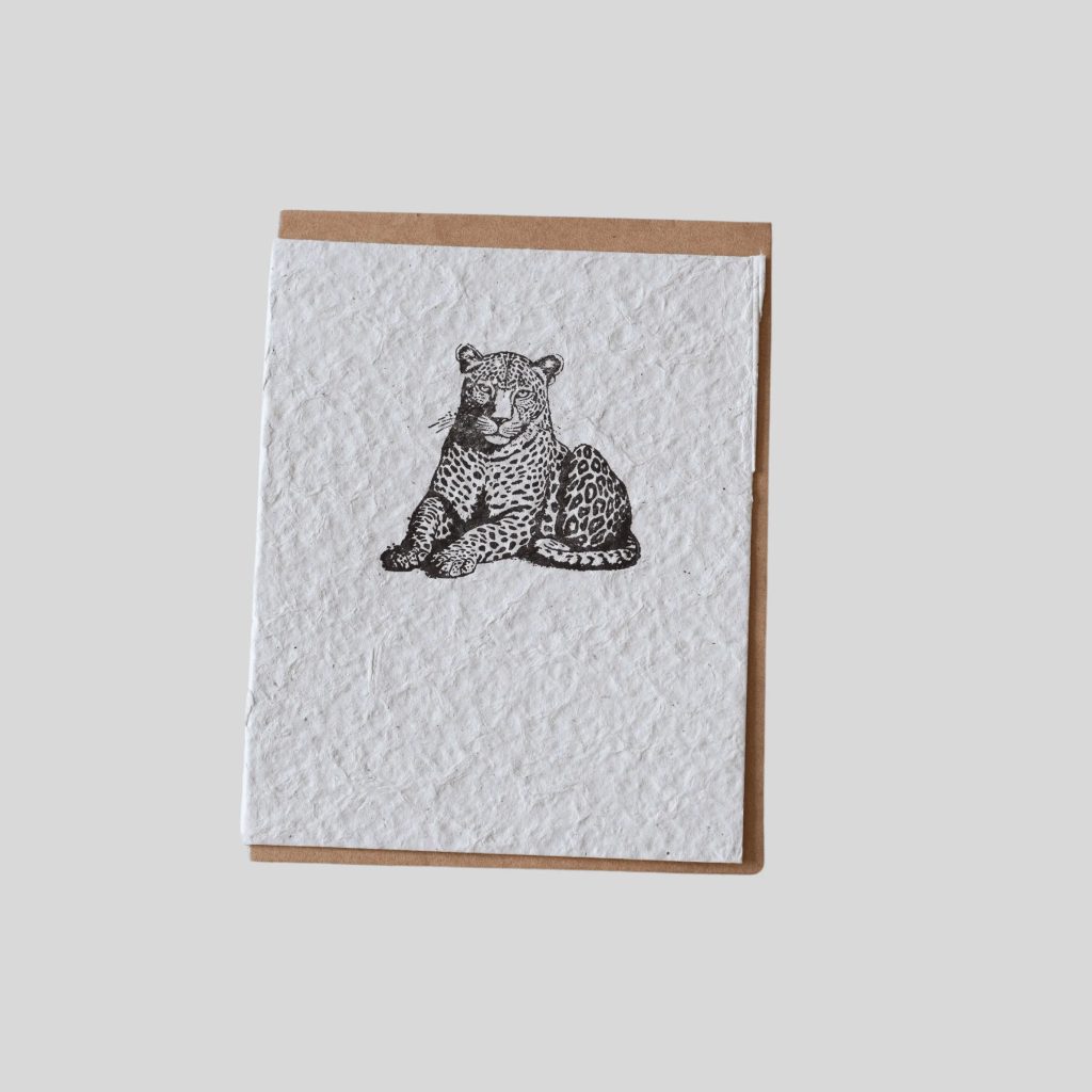 Gallery Image Asset Item